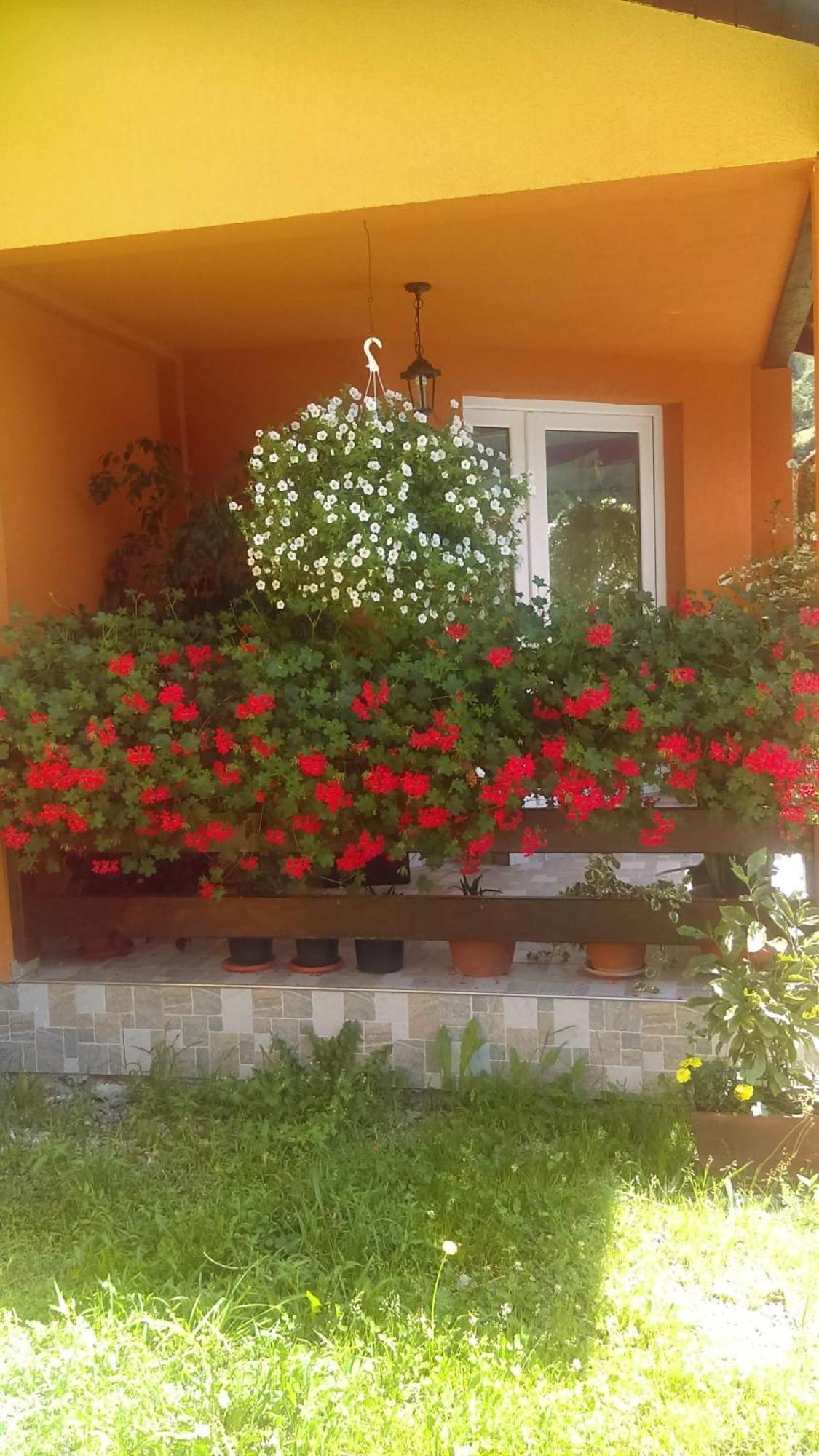 Vila Ge-Lux Incesti Exteriér fotografie